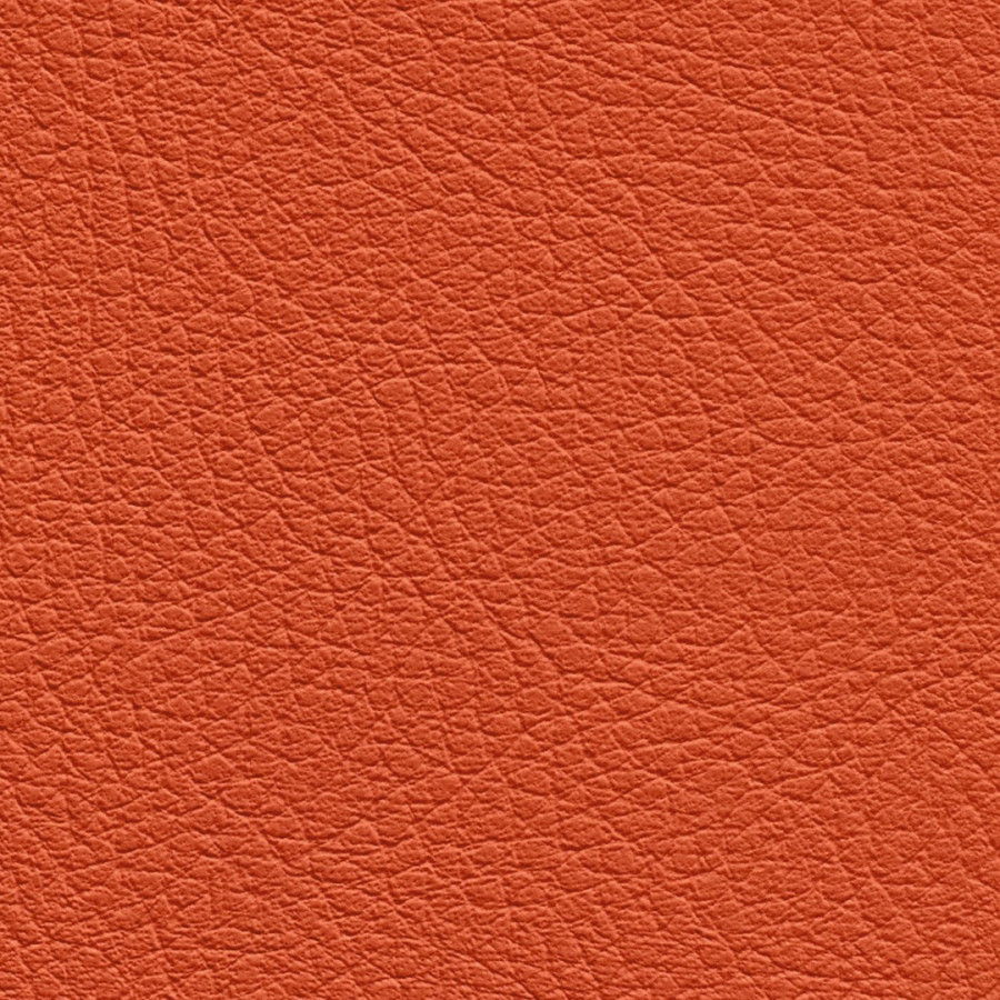 Fiesta (orange)